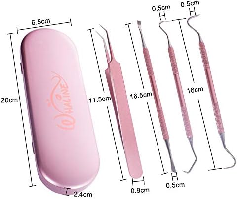 Whaline Vinyl Weeding Tools Set of 4, Precision Stainless Steel Weeder Kit with Case, Includes Scraper, Hook, Spatula, Tweezers for Silhouette Cameo, Lettering & Paper Craft (Pink)