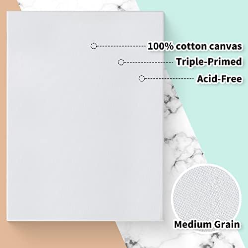 Thenshop 80 Pack Stretched Canvas for Painting 8 x 10 Inch Triple Primed Acid Free 100% Cotton White Blank Canvas for Painting Supplies Oil and Acrylic Pouring Art Watercolor
