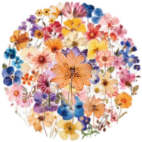 50PCS Transparent Flora Scrapbook Stickers, Vintage Aesthetic Flowers Sticker for Scrapbooks Travel Journal, Vinyl Waterproof for Water Bottles Laptop Phone Scrapbook Supplies DIY Crafts, (Flower-C)