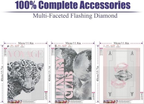 3 Pack Coquette Diamond Art Kits for Adults Diamond Painting Kit for Adults