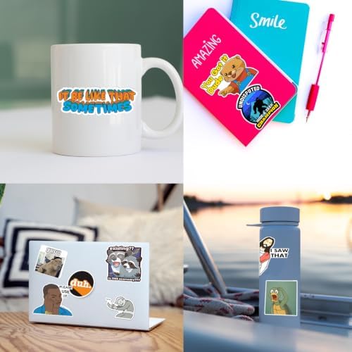 306pcs Funny Meme Vinyl Stickers Pack, Large Bulk Sticker for Laptop, Phone, Water Bottles, Computer Cars... Vine Sticker Decal DIY Décor for Bumper Accesory