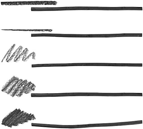 Pacific Arc Artist Vine Charcoal, Soft, Black 12 Pieces, Artist Vine Charcoal Sticks, Extra Soft and Smooth Drawing Charcoal