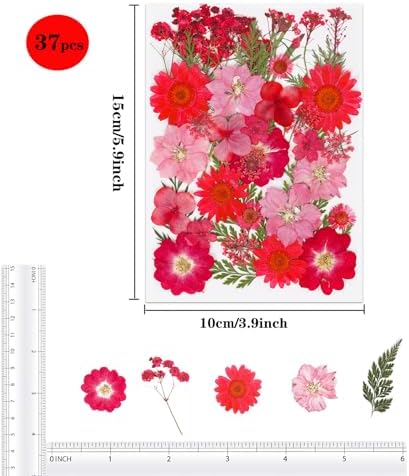 37Pcs Red Dried Pressed Flowers Natural Dried Flowers for Resin,Real Pressed Flowers for Crafts,Dry Flowers for Resin Molds DIY Scrapbookin Candle Jewellery Making