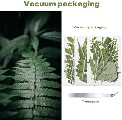 63 Pcs Dried Flowers for Resin 21 Styles Pressed Leaves
