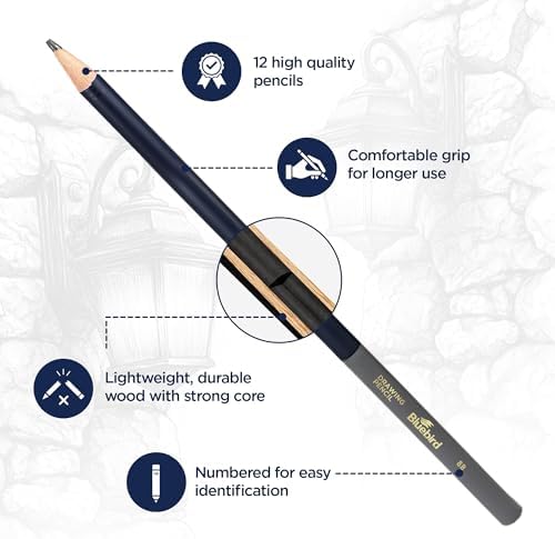 BLUEBIRD Sketch Pencils Set of 12 (2H–8B) – Drawing Pencils for Sketching, Art Supplies for Adults & Teens, Ideal for Drawing Art, Sketching, & Shading