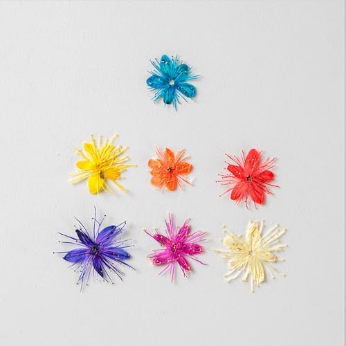 84 Pcs Dried Pressed Flowers for Crafts Resin Art DIY Natural Dry Sandalwood Floral Epoxy Jewelry Real Flower Decor Cakes Phone Cases Candles Handmade Soap Sandalwood
