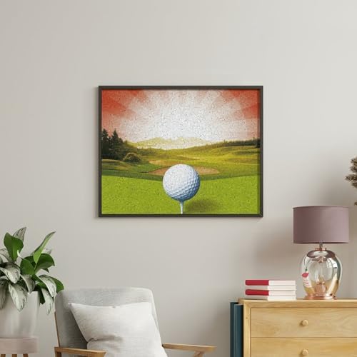 QMNBTES Paint by Numbers Kit for Adults Beginner Golf Sport Paint by Number Kits on Canvas Number Painting Drawing Paintwork DIY Oil Painting Kits for Gift Home Wall Decor