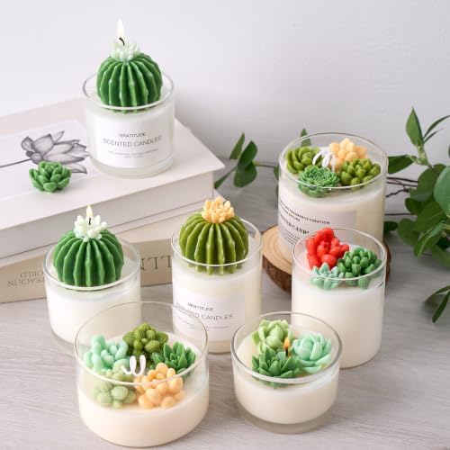 9 Cavity Succulent Silicone Mold for Candle Making, 3D Cactus Wax Molds