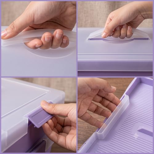 2-Pack Craft Organizers and Storage Box with Removable Tray, Portable Project Case with Handle and Lid, 2-Tier Art Supply Organizer, Document File Box for A4 Paper, Scrapbook, 5-Quart