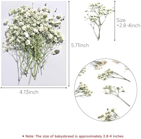 Dried Babys Breath White, 48pcs Dried Flowers for Resin