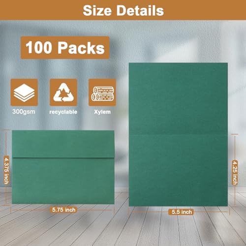 Silunkia 100 Packs 10 Assorted Colors Blank Cards and Envelopes 4.25 x 5.5