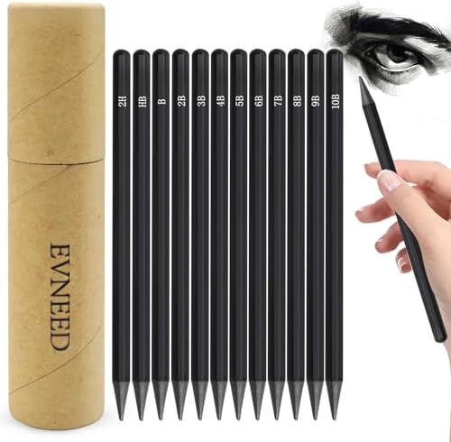 EVNEED Woodless Pencil Set,12 pcs Non-wood Graphite and Charcoal Sketching for Drawing,Writing,Shading,Color Black-Set of 12