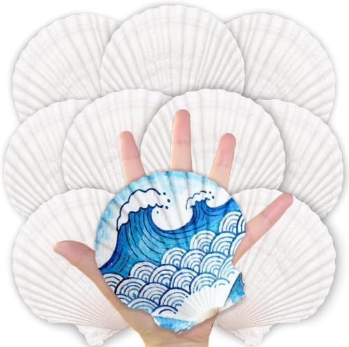 10PCS Natural Large Scallop Shells for Crafts, 4-5 in White Sea Shells, DIY