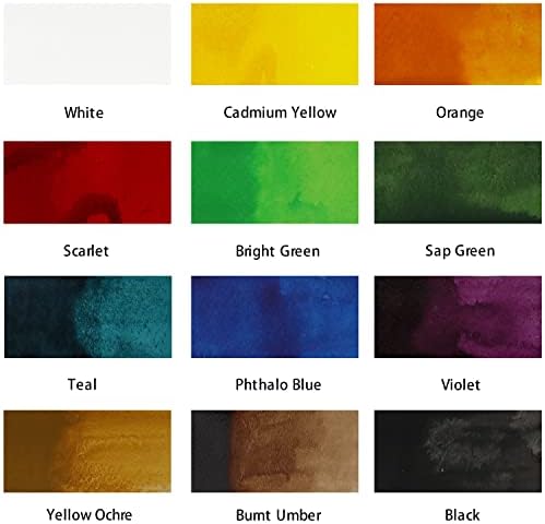 Mont Marte Acrylic Ink Premium 12pc x 20ml (0.7 US fl.oz), Acrylic Inks for Artists, Essential Colors, Ideal for Air Brush, Pouring Art, Scrapbooking, Ink Drawing, Mixed Media