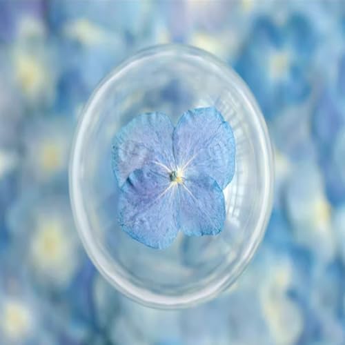 48 Pcs Dried Pressed Flowers for Resin DIY Art Crafts Natural Dry Hydrangea Floral Epoxy Jewelry Real Flower Decor Cakes Phone Cases Candles Handmade Soap Hydrangea, Hydrangea/48pcs