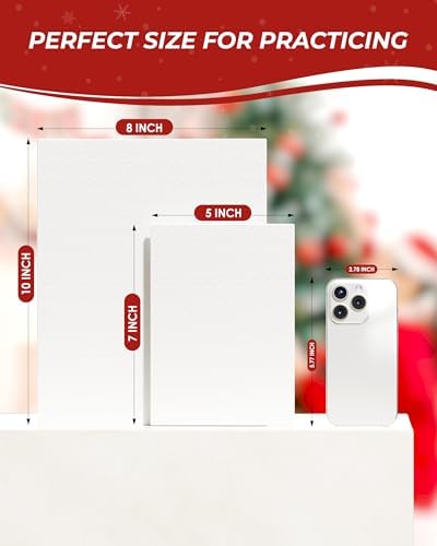 MaxGear 12 Pack 8x10 Canvas Boards for Painting