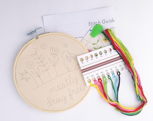 FUNATIC Mostly Drug Free Funny Embroidery Kit for Adults