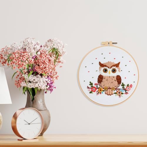 Louise Maelys Cute Owl Embroidery Kit for Beginners Animal DIY