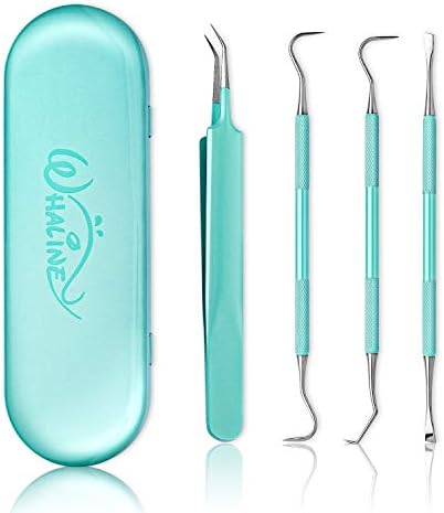 Whaline Vinyl Weeding Tools Set of 4, Precision Stainless Steel Weeder Kit with Case, Includes Scraper, Hook, Spatula, Tweezers for Silhouette Cameo, Lettering & Paper Craft (Mint Green)