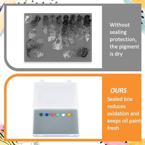 Nuanchu 2 Set Glass Oil Paint Palette, Airtight, 10.2 x 6.8 Inches, Grey | Handy Tempered Glass for Oil Painting, Moisture-proof lid Keep Paint Fresh, Portable Travel Outdoor, Leak-proof Airtight Seal