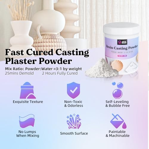 LET'S RESIN Resin Casting Powders Starter Kit,1000g Fast Cured Resin Powder