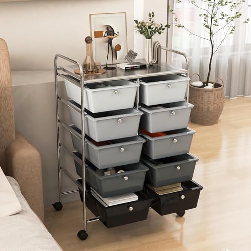 LDAILY 10 Drawer Rolling Cart, Storage Cart Organizer on Wheels, Drawer Cart with Metal Frame & Large Storage Capacity, Rolling Cart with Drawers for Living Room Classroom, Office