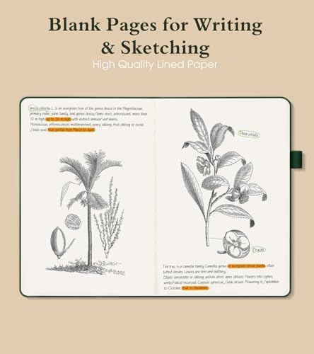 PAIBAS Blank Journal Notebook for Women Men,160 Pages,A5 Hardcover Sketchbook for Drawing, Sketch book, Unlined Notebooks for School,Work, Note Taking,Travel Journals for Writing 5.8"x8.5" (Green)