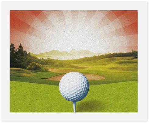 QMNBTES Paint by Numbers Kit for Adults Beginner Golf Sport Paint by Number Kits on Canvas Number Painting Drawing Paintwork DIY Oil Painting Kits for Gift Home Wall Decor
