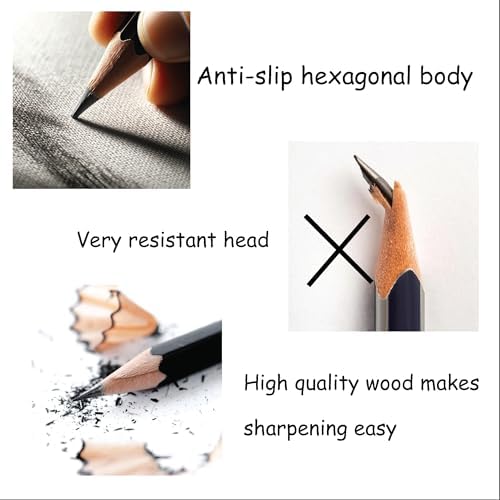 2B Premium Graphite Drawing Pencils - 12 pcs | Professional Art Drawing Pencils for Shading, Sketching & Doodling | Graphite Pencil for Artists & Beginners
