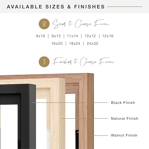MCS Canvas Float Frames Canvas Black Finish Frame, Vertical & Horizontal Wa