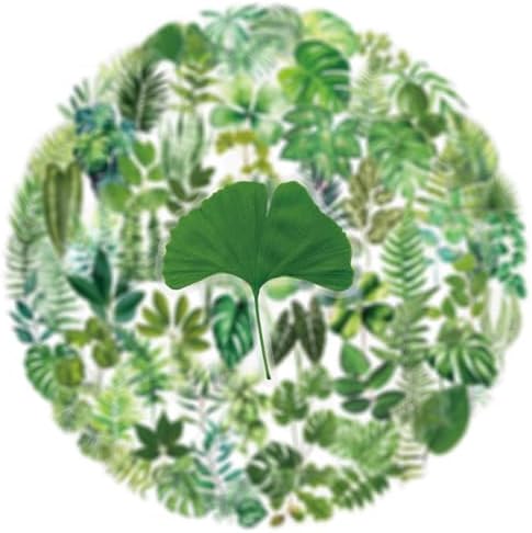 Transparent Flora Leaf Scrapbook Stickers Plant Leaf Stickers(G100)