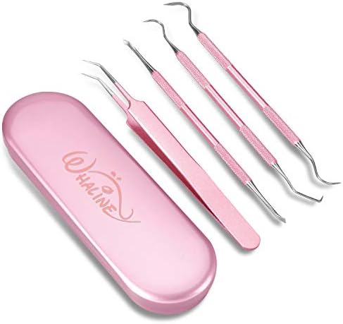 Whaline Vinyl Weeding Tools Set of 4, Precision Stainless Steel Weeder Kit with Case, Includes Scraper, Hook, Spatula, Tweezers for Silhouette Cameo, Lettering & Paper Craft (Pink)