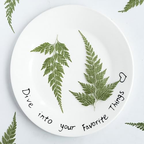 48 Pcs Dried Pressed Flowers Leaves Ferns for Crafts Art Resin DIY Natural Dry Green Leaf Epoxy Jewelry Real Rose Flower Decor Cakes Phone Cases Bookmarks Candles Handmade Soap Ferns