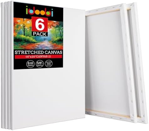 6 Pack 16x20 Stretched Canvases for Painting