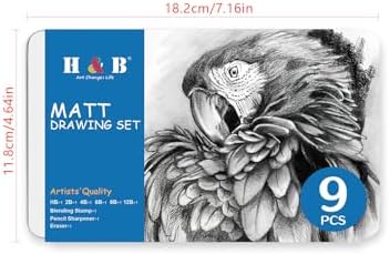 H & B Profession Sketch Pencils 9-Piece, Matte Sketch pencils, Sketch Pencil Set for Drawing, Shading, and Sketching for Beginners, Artists and professional artists