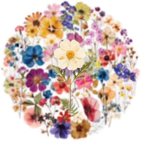 50PCS Transparent Flora Scrapbook Stickers, Vintage Aesthetic Flowers Sticker for Scrapbooks Travel Journal, Vinyl Waterproof for Water Bottles Laptop Phone Scrapbook Supplies DIY Crafts (Flower-B)
