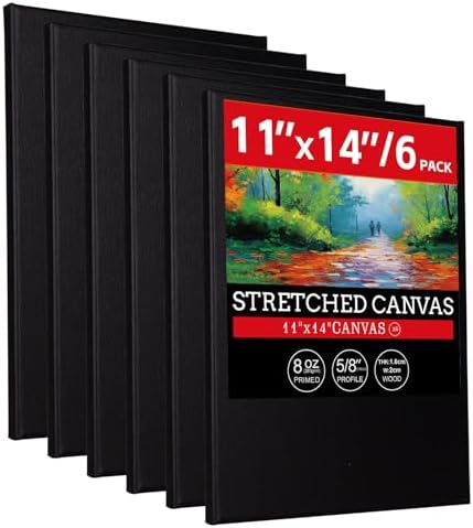 6 Pack 11x14 Stretched Canvases for Painting Black