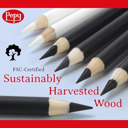 Pepy Professional White Charcoal Pencil Set – Set of 6 Pre-Sharpened White Charcoal Pencils; Perfect for Drawing, Sketching, Blending and Shading