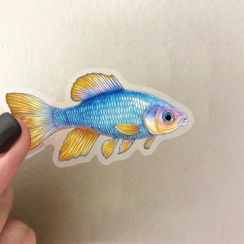 50Pcs Ocean Fish PET Stickers Waterproof