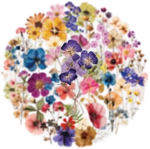 Transparent Flora Scrapbook Stickers Aesthetic Flowers Stickers(50)