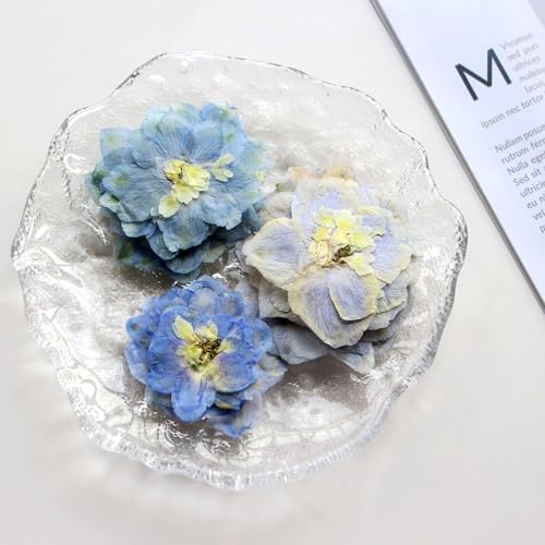 48 Pcs Dried Pressed Flowers for Resin DIY Art Crafts Natural Dry Sakura Larkspur Floral Epoxy Jewelry Real Flower Decor Cakes Phone Cases Candles Handmade Soap