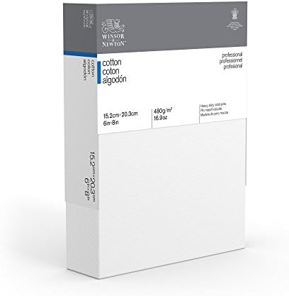 Winsor & Newton Professional Cotton Canvas, 6" x 8" Deep Edge