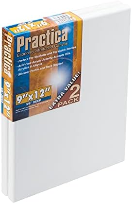 Practica Economy Stretched Cotton Canvas - Acid-Free Acrylic Primed Canvas for Acrylics, Pastels, Graphite, & More! - [2-Pack - 9x12]