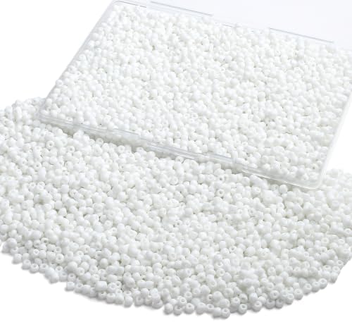 ZHIYUXI 3000Pcs 4mm White Glass Seed Beads for Jewelry Making