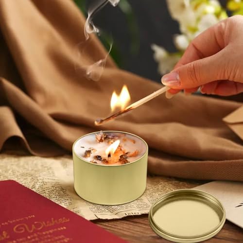 24-Pack 8oz Candle Tins with Lids, Metal Candle Jars for Candle Making, Empty Containers Vessels Bulk for Small Business & Beginners DIY Storage -Gold