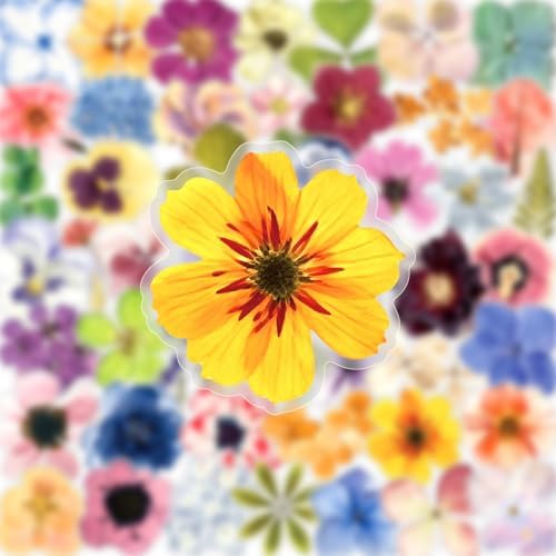 50PCS Transparent Flora Scrapbook Stickers, Flower-E | Vintage Aesthetic Flowers, Vinyl Waterproof, For Scrapbooks Travel Journal, For Water Bottles Laptop Phone