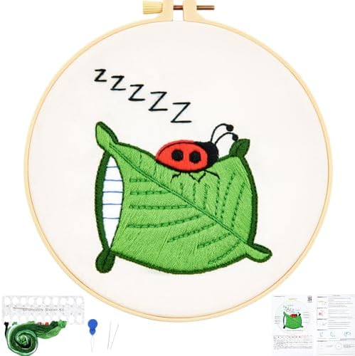 Embroidery Kits for Beginners Adults, Cute Hand Embroidery Starter Kit, Cross Stitch Kits for Beginners DIY Craft Kits for Adults Women, Entire Set of Embroidery Supplies【Full-Length Video Tutorial】