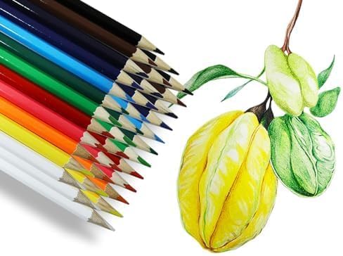 S & E TEACHER'S EDITION 240Pcs Colored Pencils