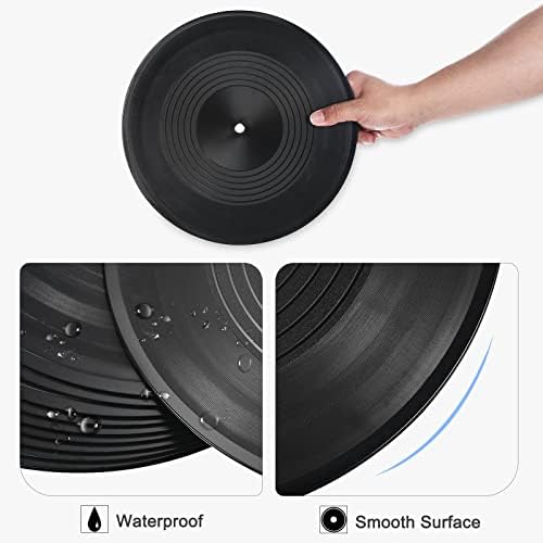 PATIKIL Blank Vinyl Records, 12 Inch 2 Pack CD Fake Vinyl Records for Wall Aesthetic Decor, Decorative Records for Roll Music Room Rock Party DIY Decoration, Black