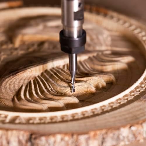 SpeTool Spiral Router Bits with DownCut 1/8 inch Cutting Diameter, 1/4 inch Shank CNC Bits Solid Carbide End Mill for Wood Cut, Carving